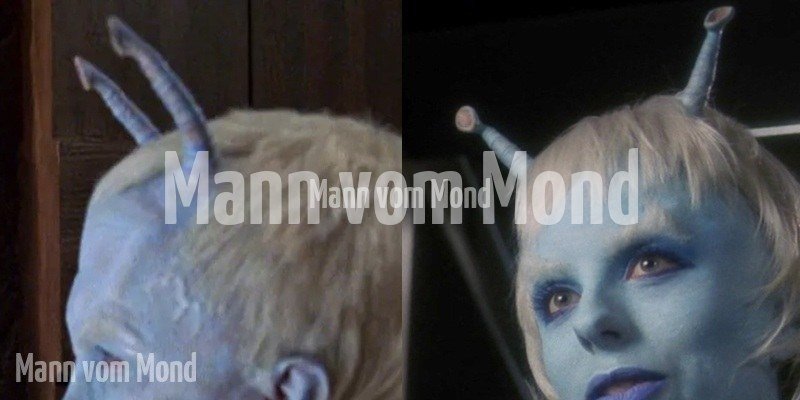 Beweglich und segmentiert: Fühler in Enterprise