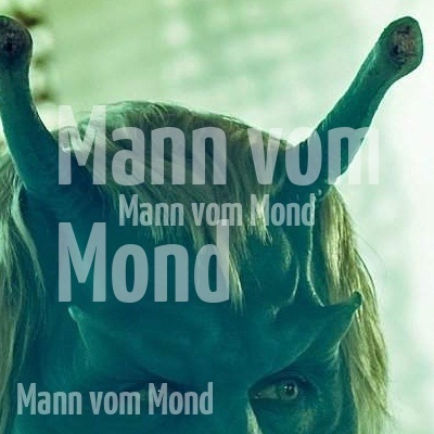 Über den Augen scheinen Sekundärfühler zu sitzen.