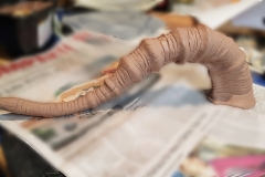 Tonmodell eines Ziegenhorns, weiter ausgearbeitet